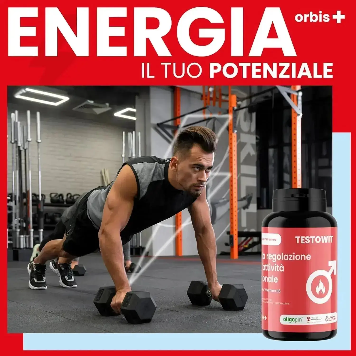 Miniatura 6