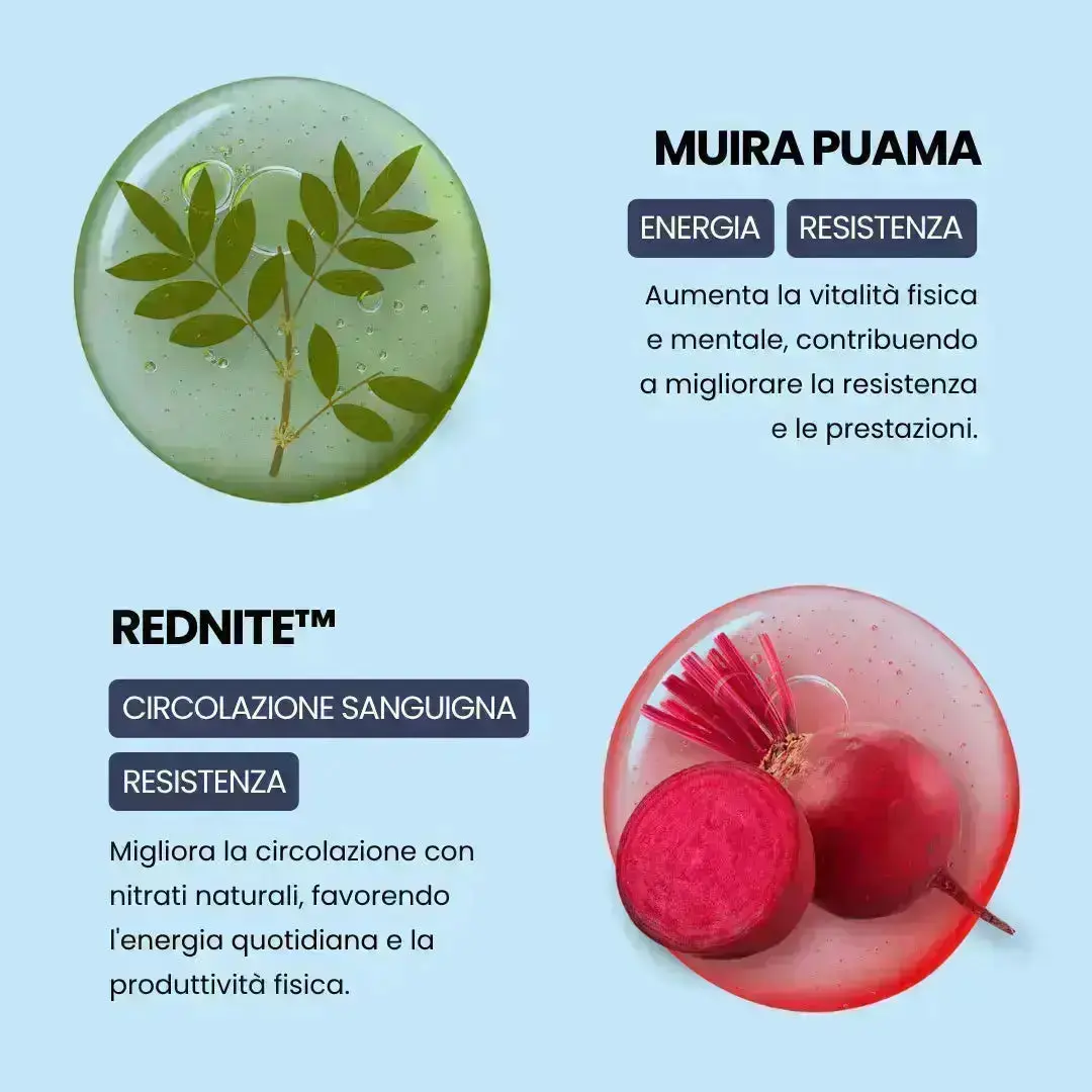Miniatura 10